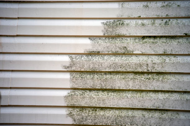 Affordable siding repair and maintenance services in Walkertown, NC