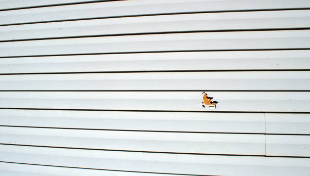 Best Siding for New Construction  in Walkertown, NC