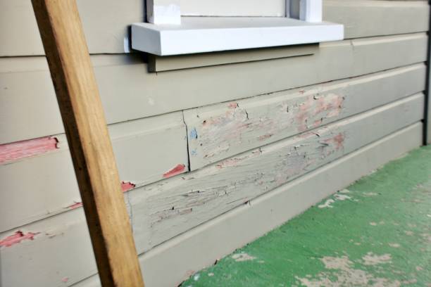 Trusted Walkertown, NC Siding Installation & Repair Experts